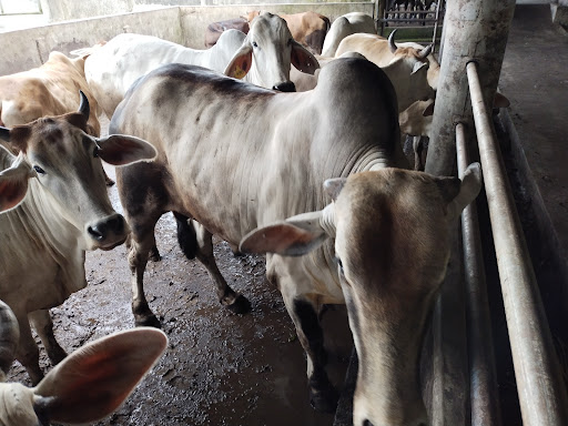 FAIZ UNIK ENTERPRISE