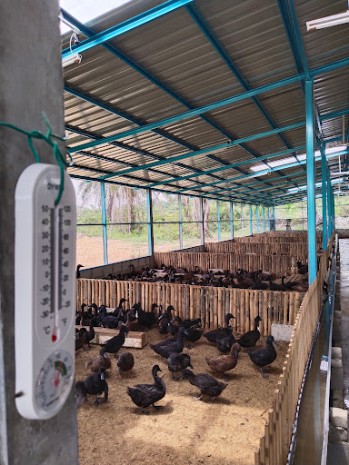 SYNERGY INDUSTRY TRADING