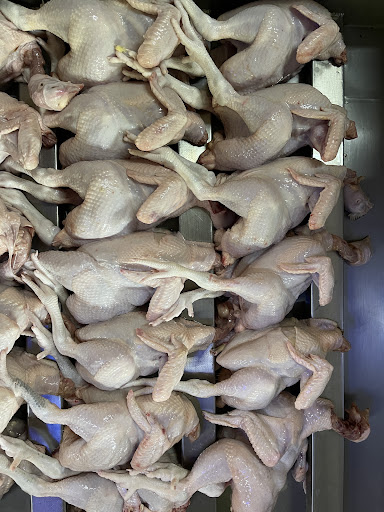 Amat Memproses Ayam Amat Memproses Ayam