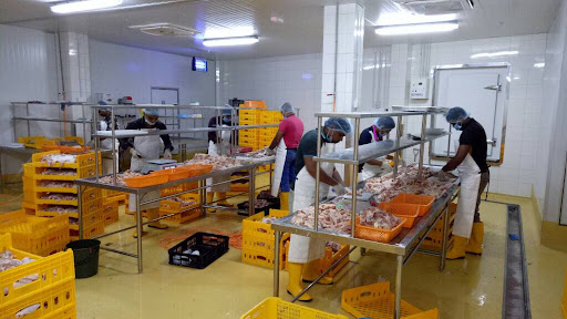 AGUS FROZEN FOODS SDN BHD