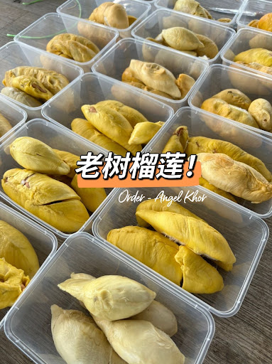 SP Frozen Food & Daily Supplies SP Frozen Food & Daily Supplies