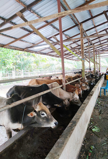 MT Agrofood Industries Sdn Bhd MT Agrofood Industries Sdn Bhd
