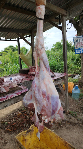 Kedai Daging Segar Tempatan Kedai Daging Segar Tempatan