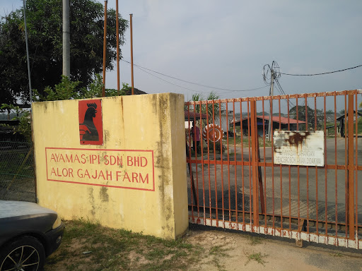 Ayamas Integrated Poultry Farm Alor Gajah Ayamas Integrated Poultry Farm Alor Gajah
