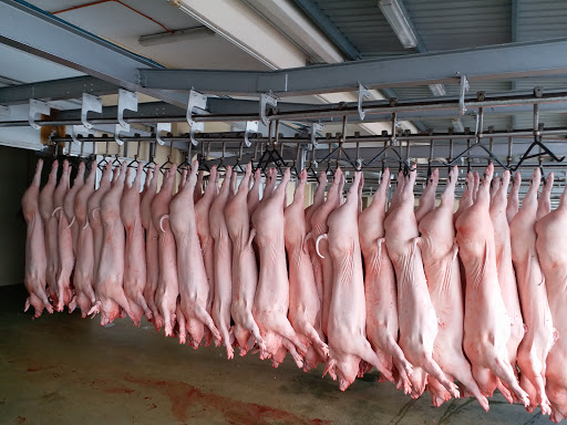 DD Fresh Meat Retail Shops ( Lukut Branch)天定猪肉便利店 Omega3 pork DD Fresh Meat Retail Shops ( Lukut Branch)天定猪肉便利店 Omega3 pork