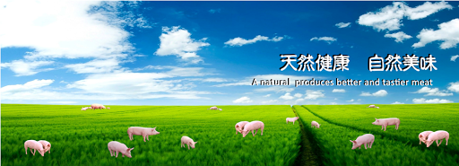 DD Fresh Meat Retail Shop Sdn. Bhd. | HQ Main Office | 天定猪肉便利店 Omega3 Pork DD Fresh Meat Retail Shop Sdn. Bhd. | HQ Main Office | 天定猪肉便利店 Omega3 Pork