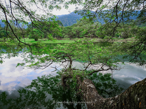 Taman Tasik Taiping Taman Tasik Taiping