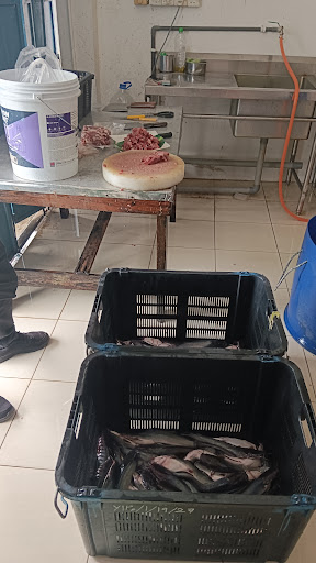 Anas Mart Anas Mart