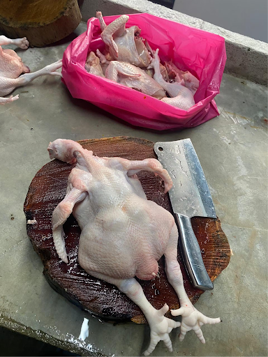 PROSES AYAM SEGAR KHER PROSES AYAM SEGAR KHER