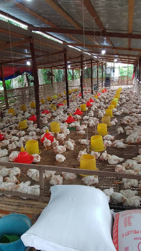 TS FARM TAWAU TS FARM TAWAU