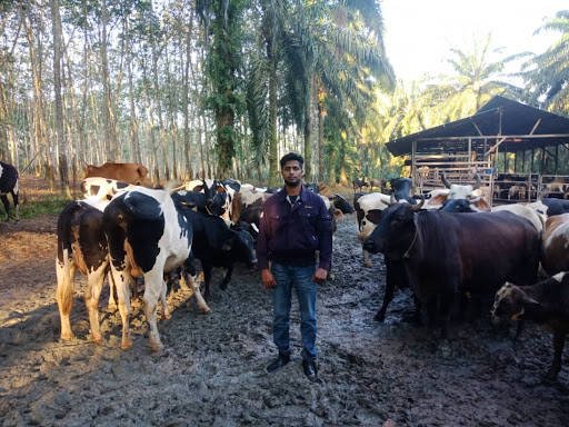PK Farm Malaysia PK Farm Malaysia