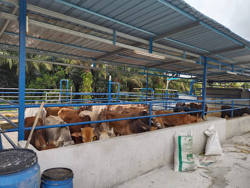 Pusat Sembelihan haiwan ruminan Tok Siman Pusat Sembelihan haiwan ruminan Tok Siman