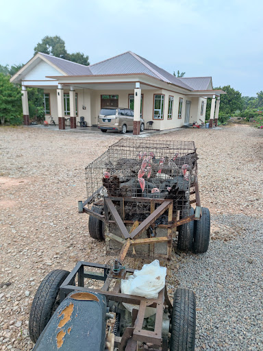 Pontian Turkey Farm Pontian Turkey Farm
