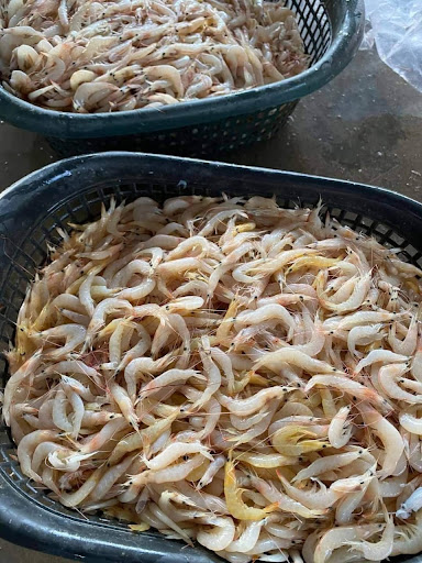 Bao Sheng Mini Market宝生迷你市场