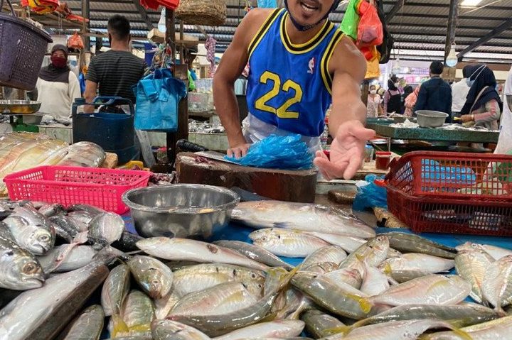 Ikan Segar Kota Tinggi 1 ikan segar kota tinggi