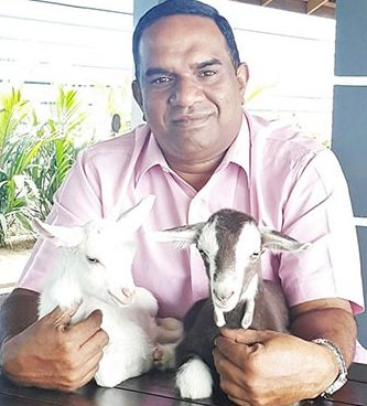 Osman Goat Farm 1 osman goat farm