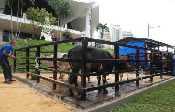 Pusat Sembelihan haiwan ruminan Tok Siman 1 pusat sembelihan haiwan ruminan tok siman